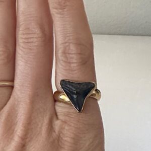 Charles Albert Alchemia Fossil Shark Tooth Ring